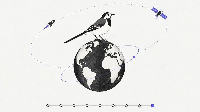 Une bergeronnette posée sur un globe avec une frise de dix points