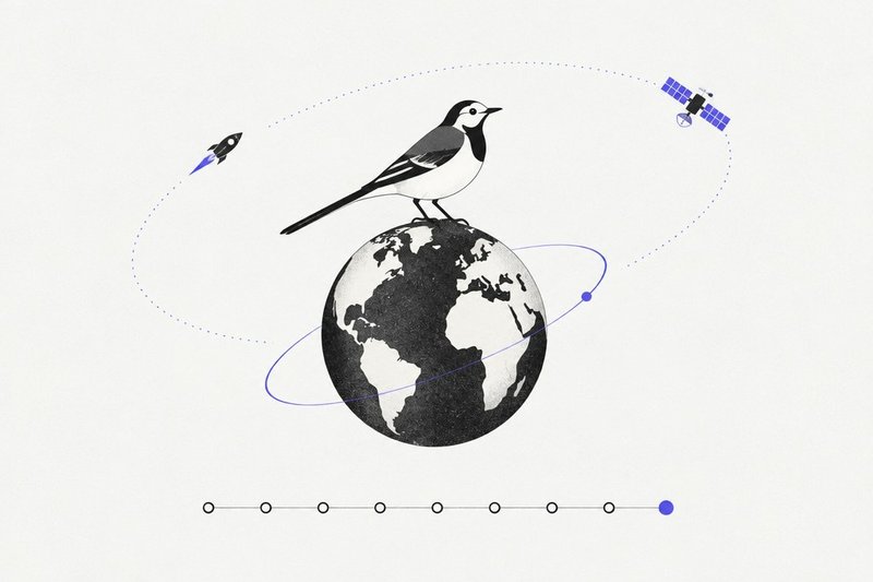 Une bergeronnette posée sur un globe avec une frise de dix points
