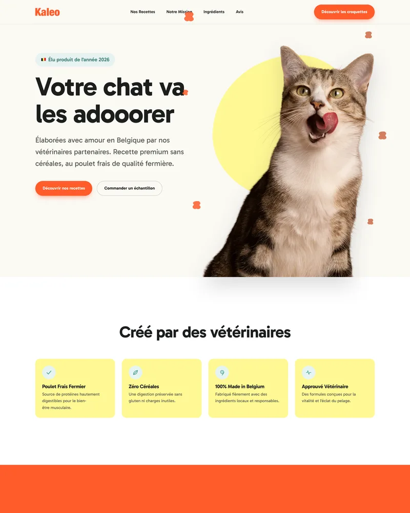 Site web de marque belge